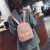 Korean Style New Plush Backpack Casual Versatile Girls Cute Fashion Plush Small Bag School Bag