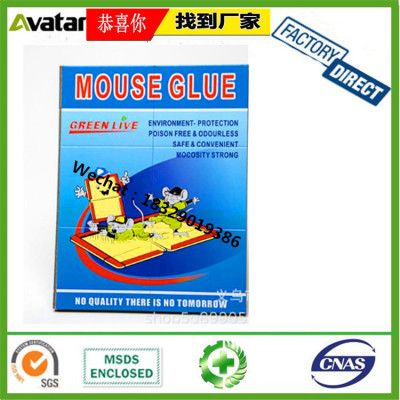  GREEN LIVE Rat glue trap mouse trap usage for home use Customized Packing Usage RAT GLUE board