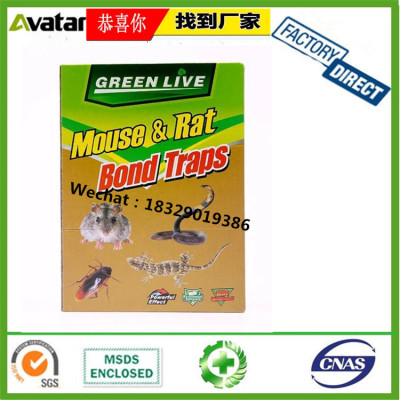 GREEN LIVE GREEN PALM TREE EDGE LEAF rat mouse glue board trap mice trap with glue sticking traps