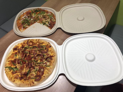 Export Environmental Degradation Pizza Lunch Box