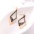 Arnan jewelry fashion stainless steel earrings titanium steel earrings popular manufacturers direct