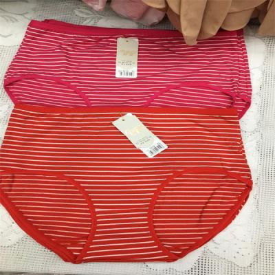 Plus-size striped cotton briefs for ladies