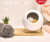 New creative cat pet house atmosphere lamp usb charge decorating bedside lamp new fancy birthday gift little night light