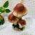 Imitation plant mushroom resin for indoor and outdoor garden roots