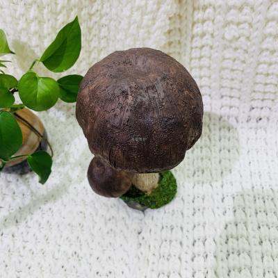 Imitation plant mushroom resin for indoor and outdoor garden roots