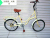 Adult bicycle with rear seat on aluminum wheel