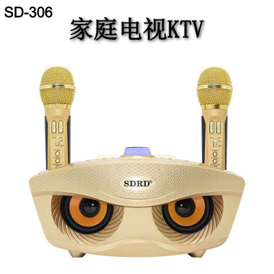 Hot Style SD-306 Wireless microphone family KTV Wireless microphone Speaker one for two Chorus K Song