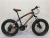 5100 boa snow bike leho bike