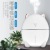 New Mini Doodle Cat Humidifier Usb Desktop Mute Mist Air Humidifier Hydrating Spray