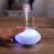 Small shell pat lamp USB aromatherapy humidifier