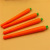Carrot Ballpoint Pens Creative Student Pens