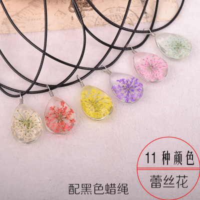Natural snow bead flower dry flower contracted handwork time glass drop small pure and fresh true flower