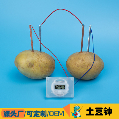 Potato clock science and technology small production DIY fruit battery power fruit clock science interesting small experiment new