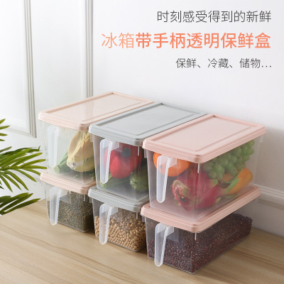 Kitchen storage refrigerator fresh fruits and vegetables
