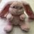 20 cm long ears rabbit 3 color children dolls plush toys gifts