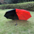 Tri-Fold Self-Opening Backpack Umbrella Creative Special-Shaped Umbrella Dovetail Umbrella Carry Child Double Umbrella Factory Direct Sales
