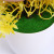 Simulated Green Plants Small Pot Plant Bonsai Home Decoration Desk Mini Decorative Artificial Flower Set Plastic Bonsai