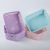 Low-Cost Drawer Plastic Storage Box Hollow Desktop Underwear Storage Box Household Covered Bra Panties Storage Box