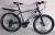 7300 21-speed iron mountain bike leho bike