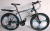 7300 21-speed iron mountain bike leho bike