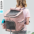 Size L pet backpack folding cat bag