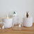 Nordic Creative Toothpick Holder Household Restaurant Toilet Cotton Box Livingroom Toothpick Holder Animal Plant Cotton Swab Tube