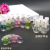 Quick drying Polish polish wholesale Transparent nail Polish