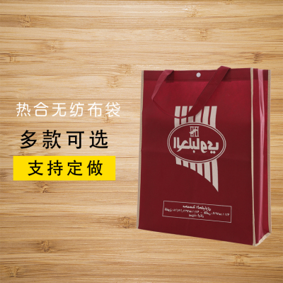 Environmental Protection Non-Woven Bag Handbag Custom Printing Canvas Reusable Shopping Bags Training Course Advertising Bag Custom Lo