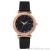 Fashionable lace dial simplicity 1-12 digital dial leather belt ladies watch quartz watch