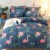 Winter Flannel Mink Fur Warm Flannel Four-Piece Quilt Cover Bed Sheet Crystal Coral Velvet Bedding Wholesale