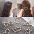 Korean Ins Pearl Hairpin Adult Side Card Elegant Hairpin Word Clip Bangs Internet Influencer Hairpin Clip Hairware Female