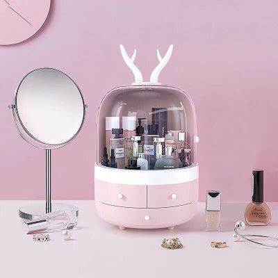 Internet Celebrity Cosmetics Storage Box