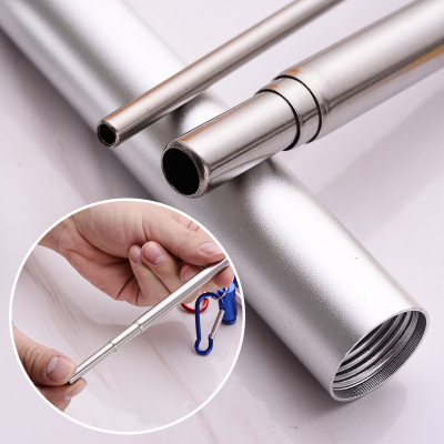 Sweno Stainless Steel Straw Easy-to-Carry Stainless Steel Color Straw