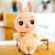 From the sale of boutique fashion toys express it in wedding dress rabbit creative plush doll, stuffed doll pillow