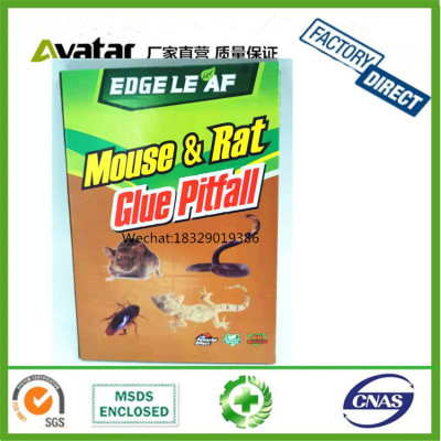 Factory Directly Supply EDGE LEAF MOUSE RAT GLUE PITFALL  mouse & rat adhesive sticky insect paper Glue Traps