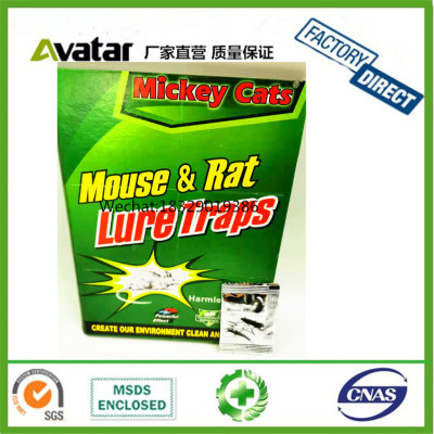 Hot Sale High Quality Eco-friendly Mickey cats Large Paper Board Mouse Glue Trap,Rat Glue and Glue Traps with  attactive