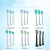 Philips electric toothbrush head replacement toothbrush head manufacturing and hair planting processing