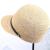 Lafite half brimmed hat adjustable summer is suing sunshade hat straw beach hat custom wholesale