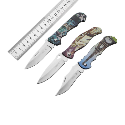 New Glasses Light Stainless Steel Folding Fruit Knife Multi-Purpose Camping Knife Outdoor Folding Knife Gift Pocket Knife