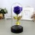 Creative plastic imitation flower gift exquisite immortal flower rose placement