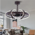Modern Dc Frequency Conversion Electric Fan Lamp Personalized Creative Bedroom Fan-Style Ceiling Lamp Dining Room round Chandelier New Fan Lamp