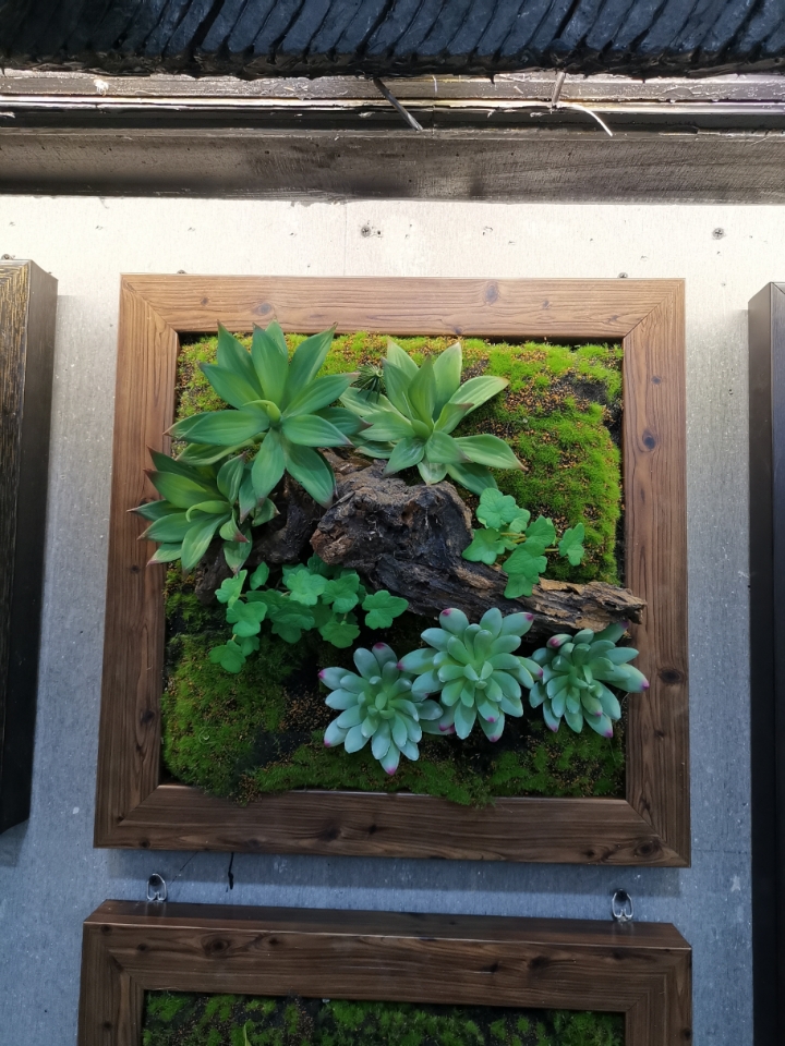 仿真植物墙 假豆花造景 草皮 仿真花背景墙花墙 ，高仿真植物画