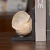 American country resin set pieces retro do old conch shell book file soft installation home set pieces studio shooting props