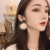 2019 New Fashion Korean Temperament Net Red Cool All-match Ear Rings Autumn and Winter Furry Ball Ear Stud Trendy Earrings Female