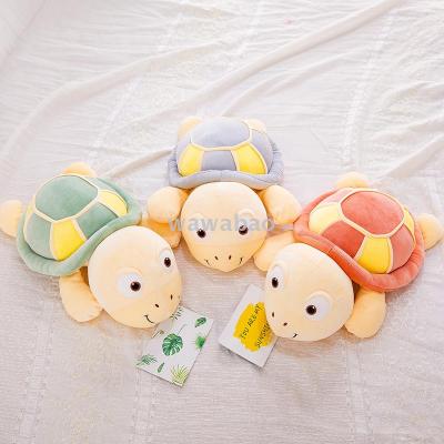 Turtle doll pillow is a birthday present for his girlfriend's child