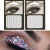 Popular 81 Tablets Single Grain with Glue DIY Eyebrow Eye Pad Forehead Face Rhinestones Paster Back Glue Acrylic Phone Jewery