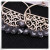 Bridal Wedding 925 Silver Ear Hook Earrings Charming Crystal Long Tassel Earrings Gorgeous Temperament Female Fashion Earrings