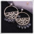 Bridal Wedding 925 Silver Ear Hook Earrings Charming Crystal Long Tassel Earrings Gorgeous Temperament Female Fashion Earrings