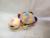Rainbow alpaca doll rainbow bear penguin turtle plush toy new doll