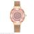 New alloy luxury diamond crystal face quicksand ball net with female watch